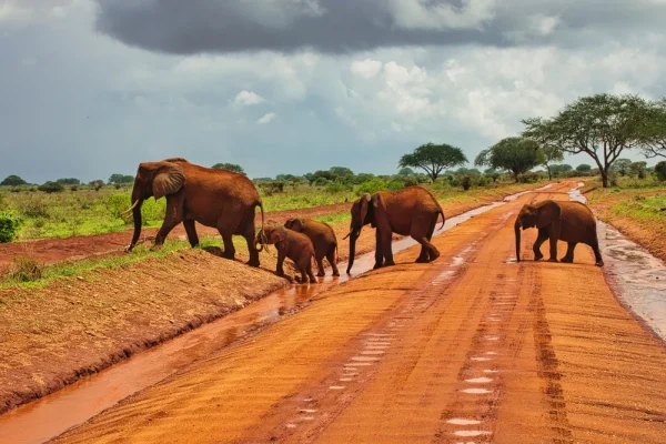 Tsavo East National Park