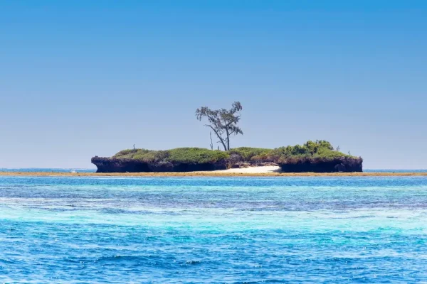 Wasini Island and Kisite Marine Park