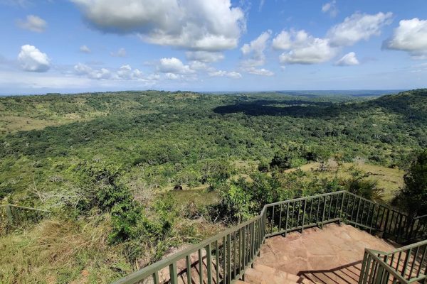 Shimba Hills Day Safari from Diani Beach  Wildlife & Nature Tour