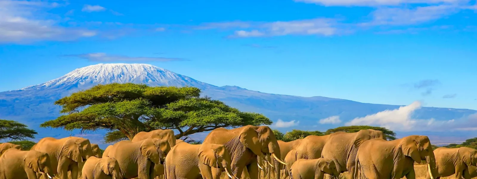 Tanzania