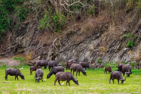 Tarangire National Park