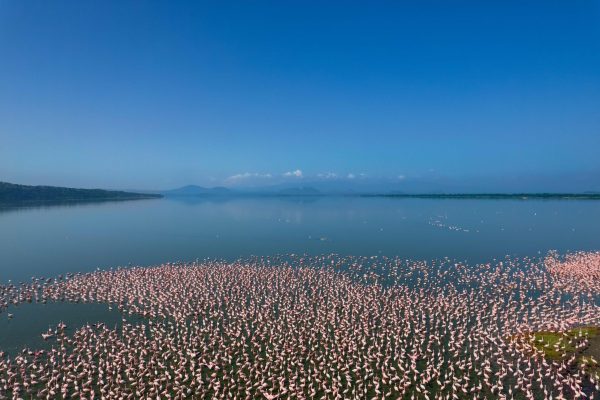 Lake Nakuru National Park