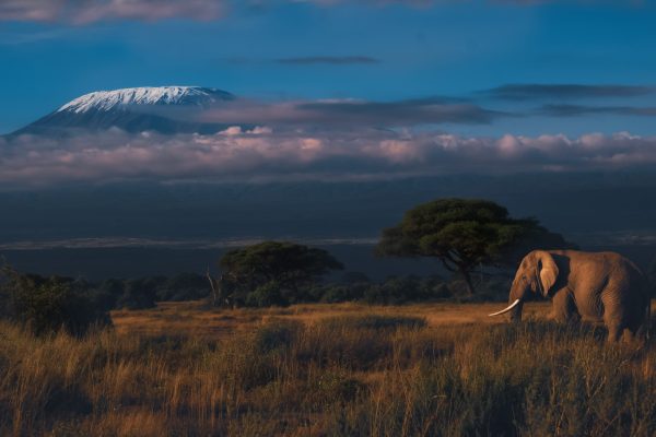Amboseli National Park